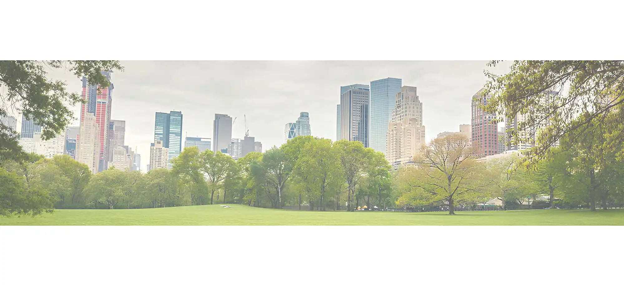 A vibrant green park with a cityscape in the background, offering a serene escape within an urban environment.