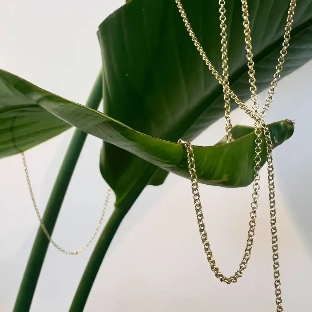 Gold chains draped over a vibrant green plant.